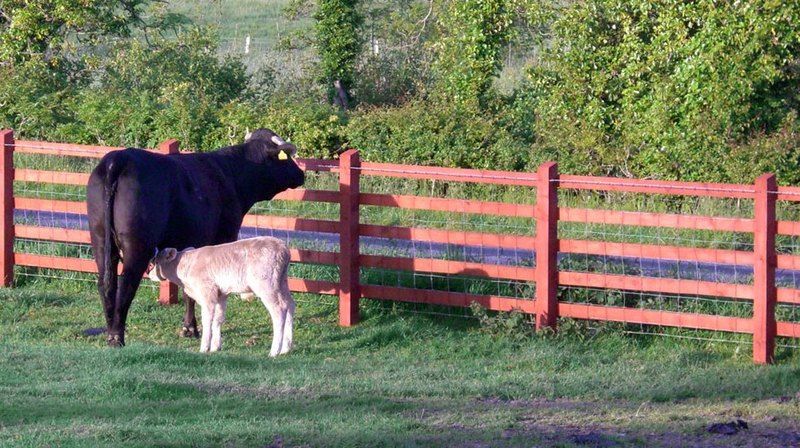 Avondale Farmhouse B&B Pettigoe Bagian luar foto